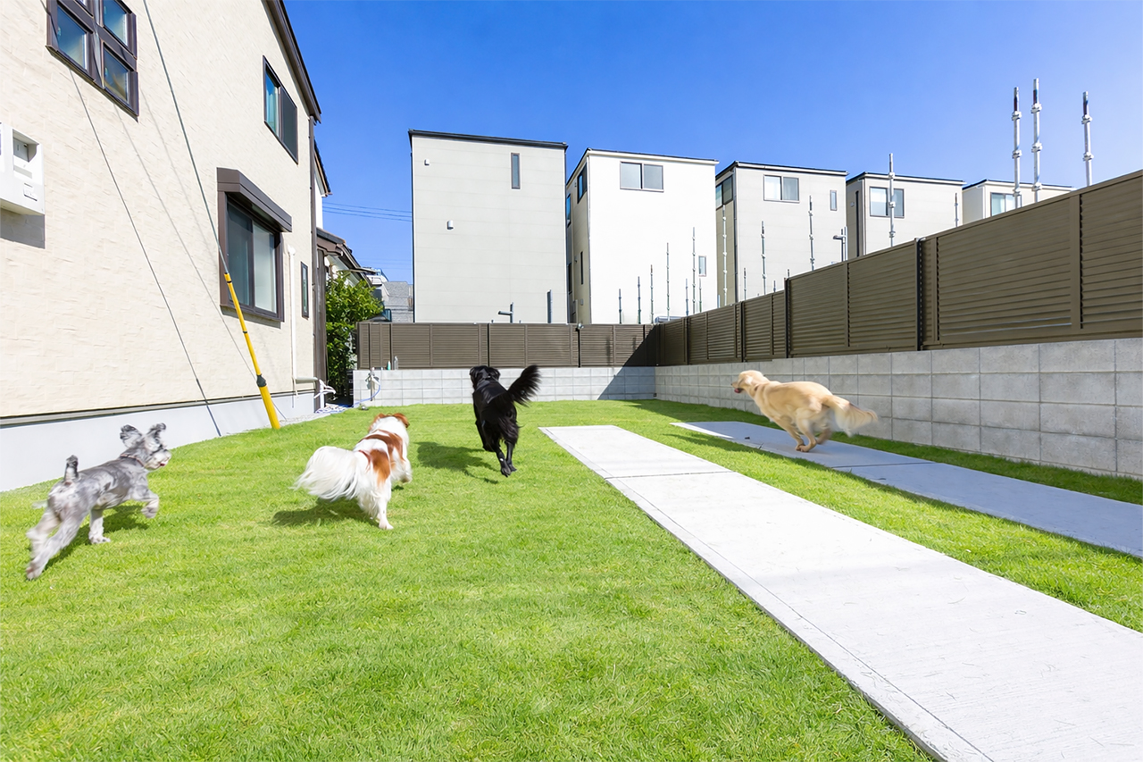 施行事例画像-202601庭のエクステリア