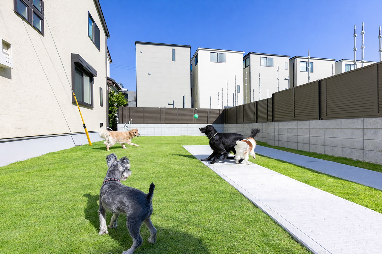 施行事例画像-202601庭のエクステリア