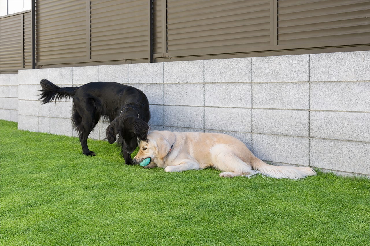 施行事例画像-202601庭のエクステリア